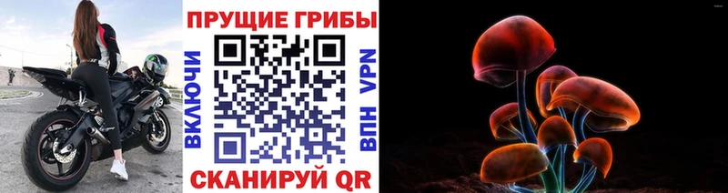 shop наркотические препараты  Нытва  Галлюциногенные грибы ЛСД 